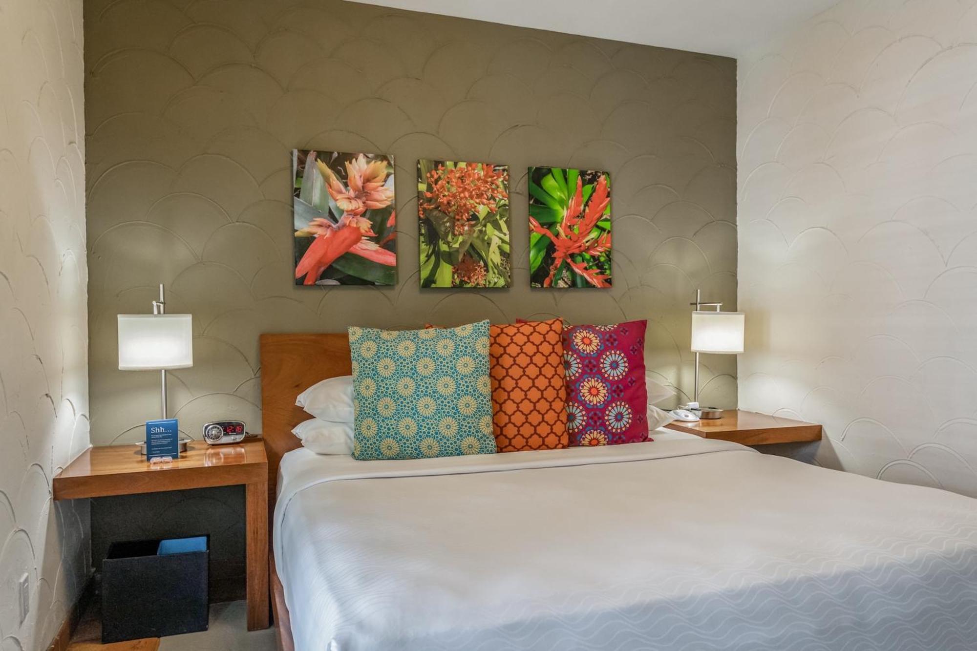 Kasa El Paseo Miami Beach Room photo